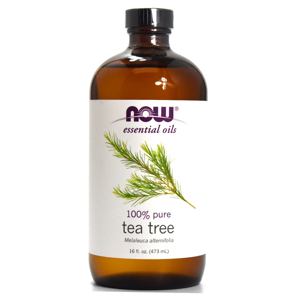 NOW Foods Tea Tree Oil 100 Pure & Natural 16 oz 733739076281 eBay